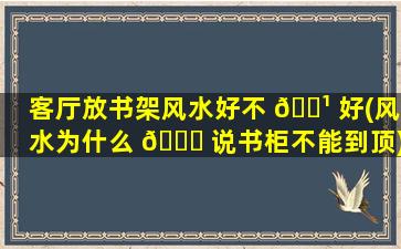 客厅放书架风水好不 🌹 好(风水为什么 🐈 说书柜不能到顶)